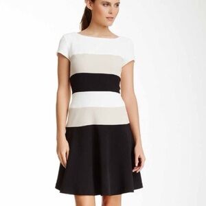 Sandra Darren Black, White, and Tan Midi Dress